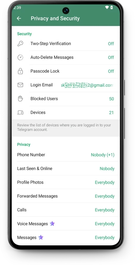 Telegram Two-Step Verification: Choose Two-Step Verification