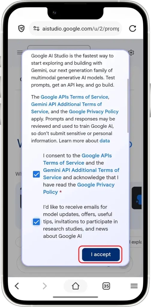 Gemini API key: Navigate To API