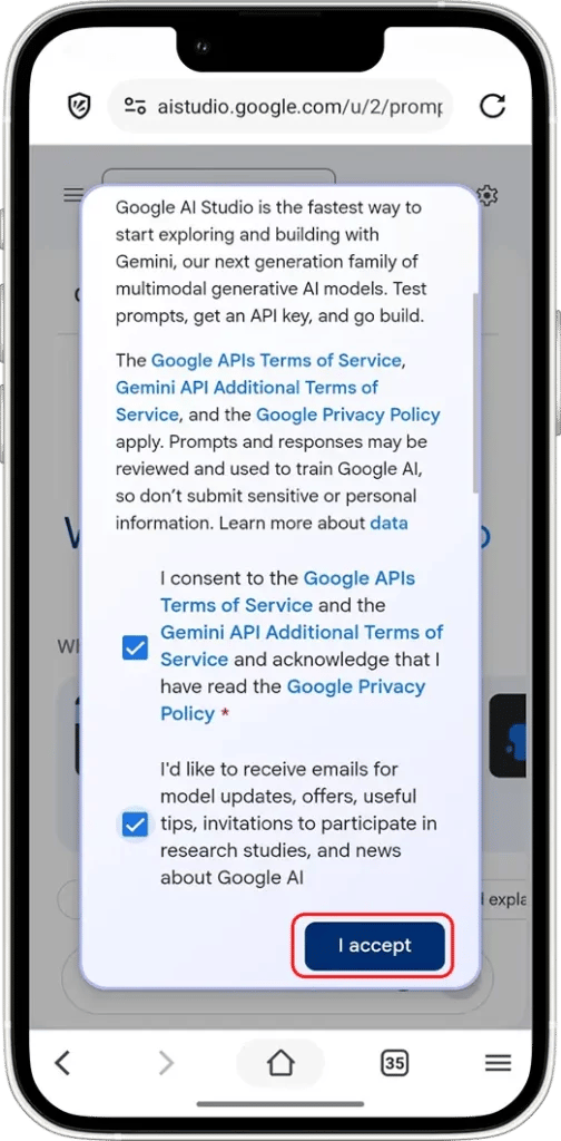 Gemini API key: Navigate To API